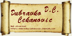 Dubravko Čekanović vizit kartica